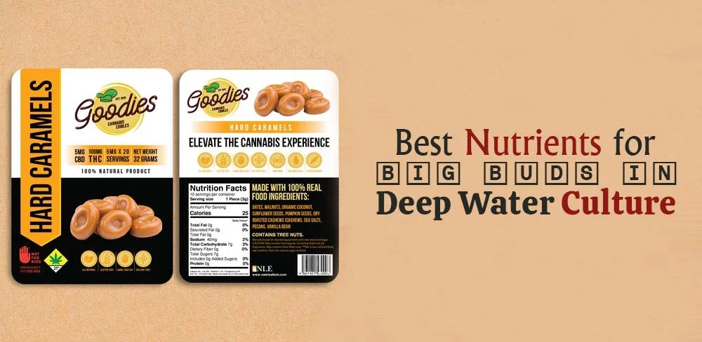 best-nutrients-for-big-buds.webp