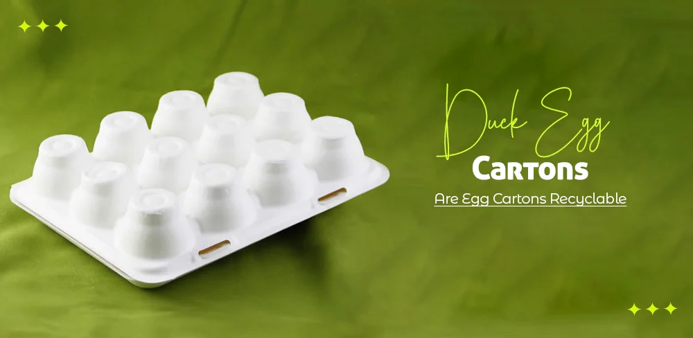 Duck Egg Cartons